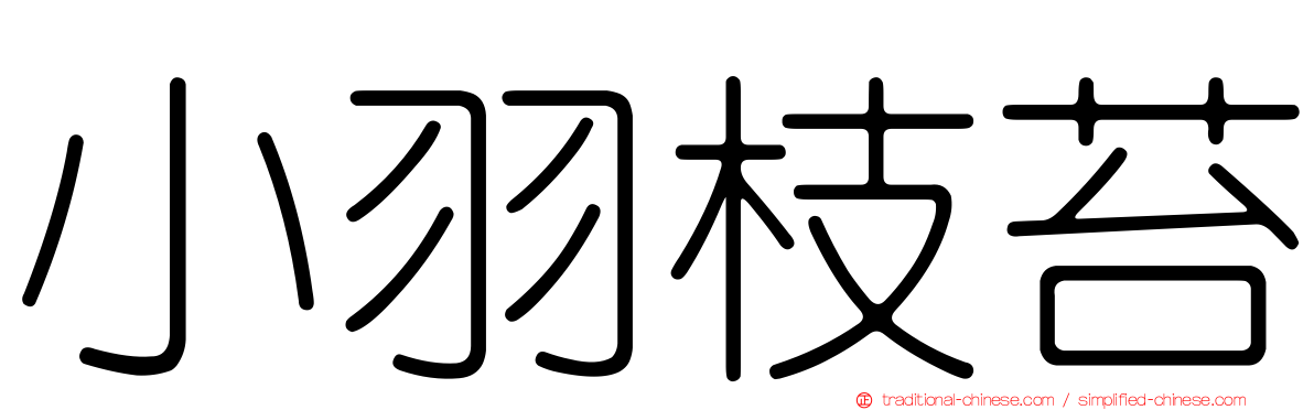 小羽枝苔