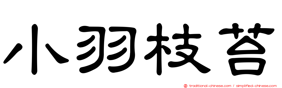 小羽枝苔