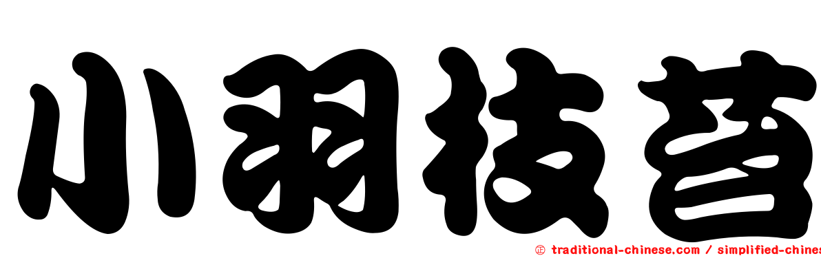 小羽枝苔