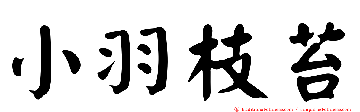 小羽枝苔