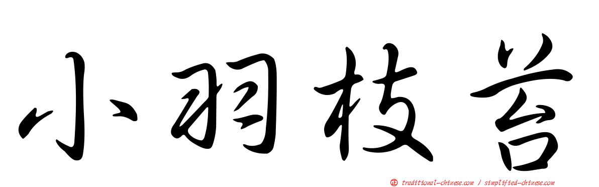 小羽枝苔