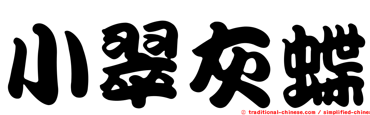 小翠灰蝶