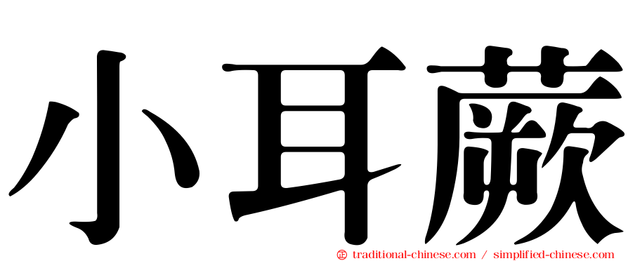 小耳蕨