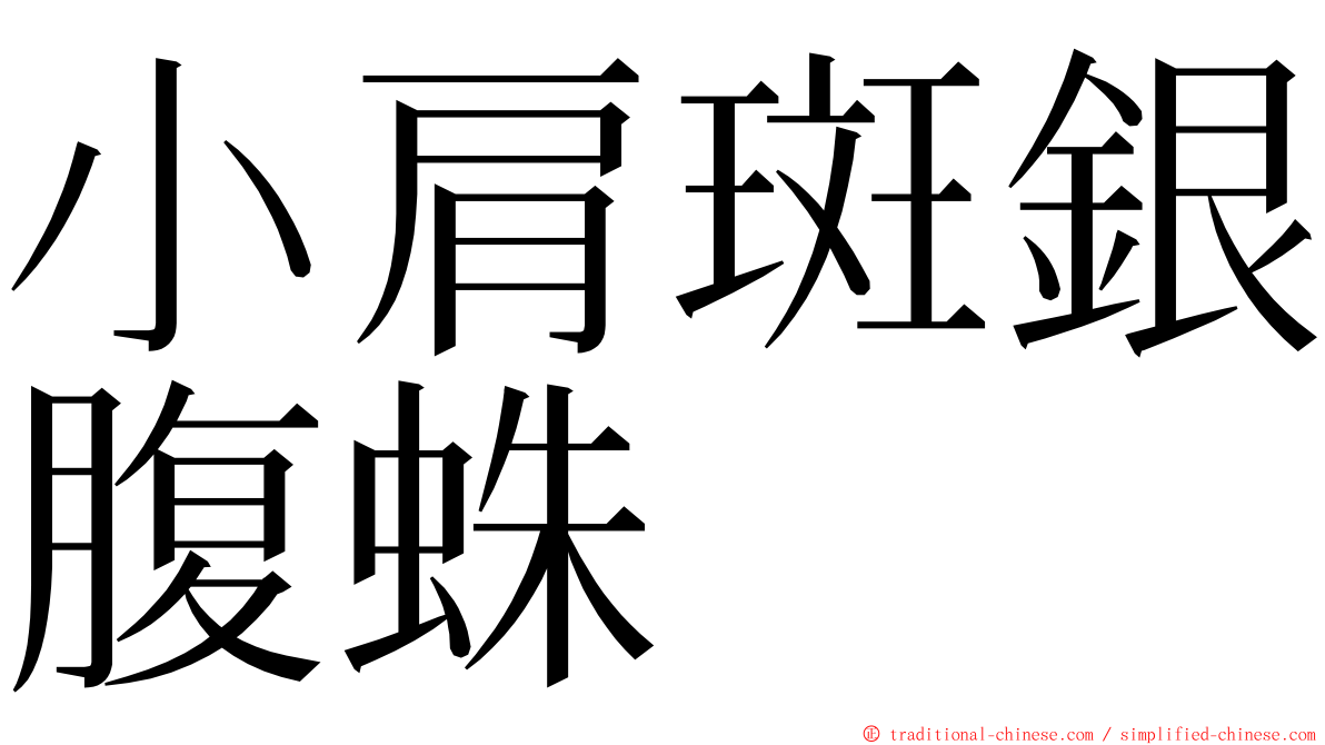 小肩斑銀腹蛛 ming font