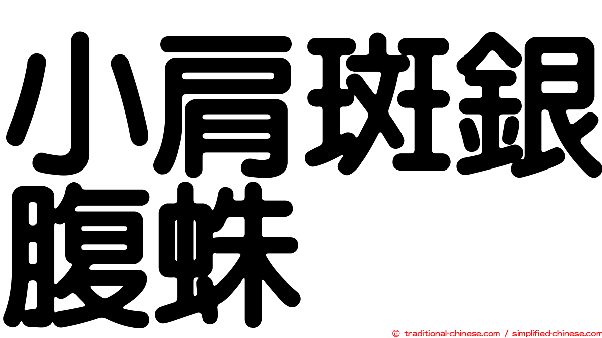 小肩斑銀腹蛛
