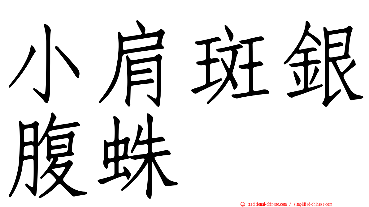 小肩斑銀腹蛛