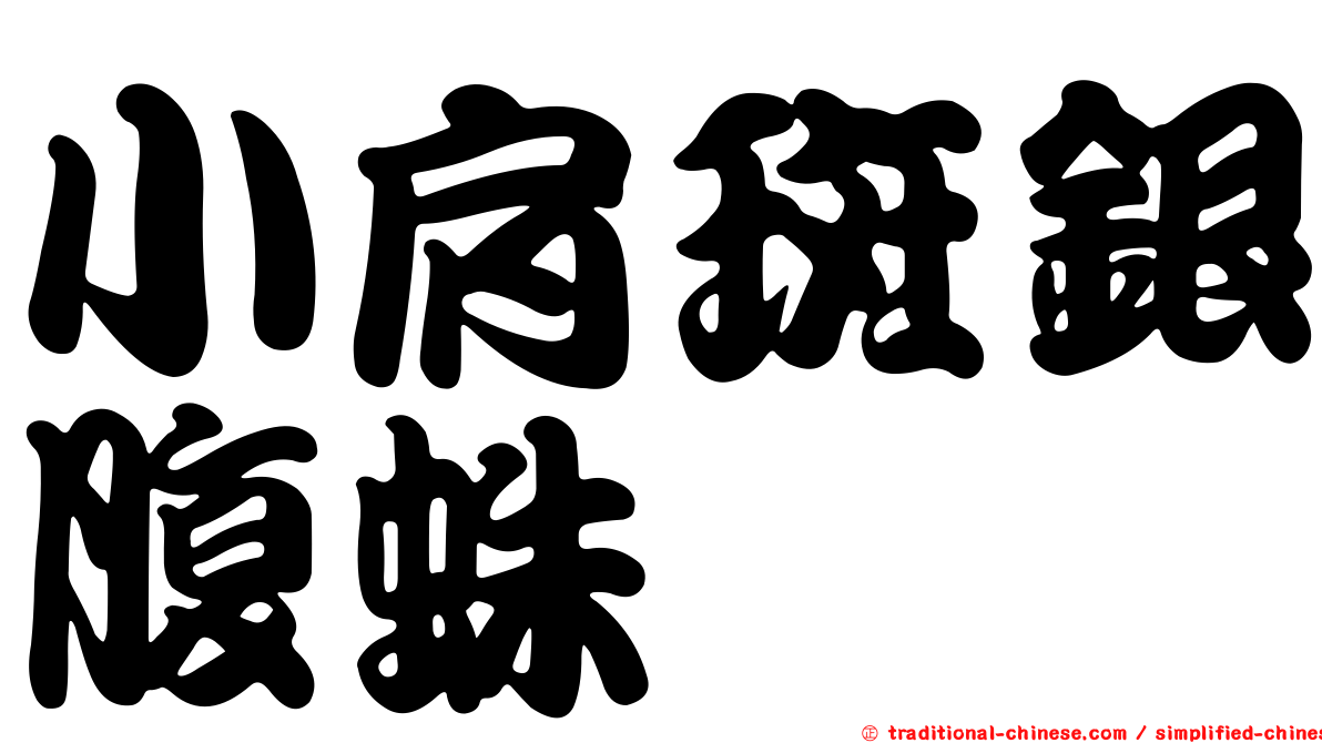 小肩斑銀腹蛛
