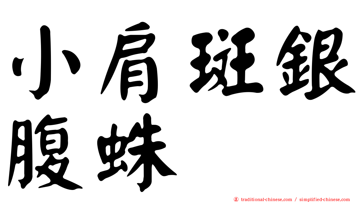 小肩斑銀腹蛛