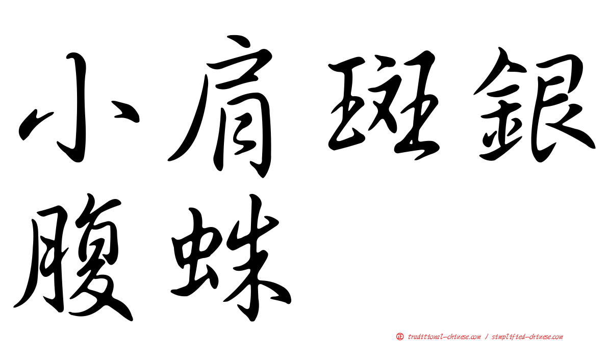 小肩斑銀腹蛛