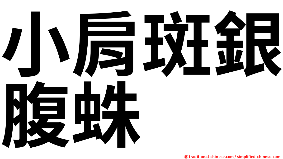 小肩斑銀腹蛛