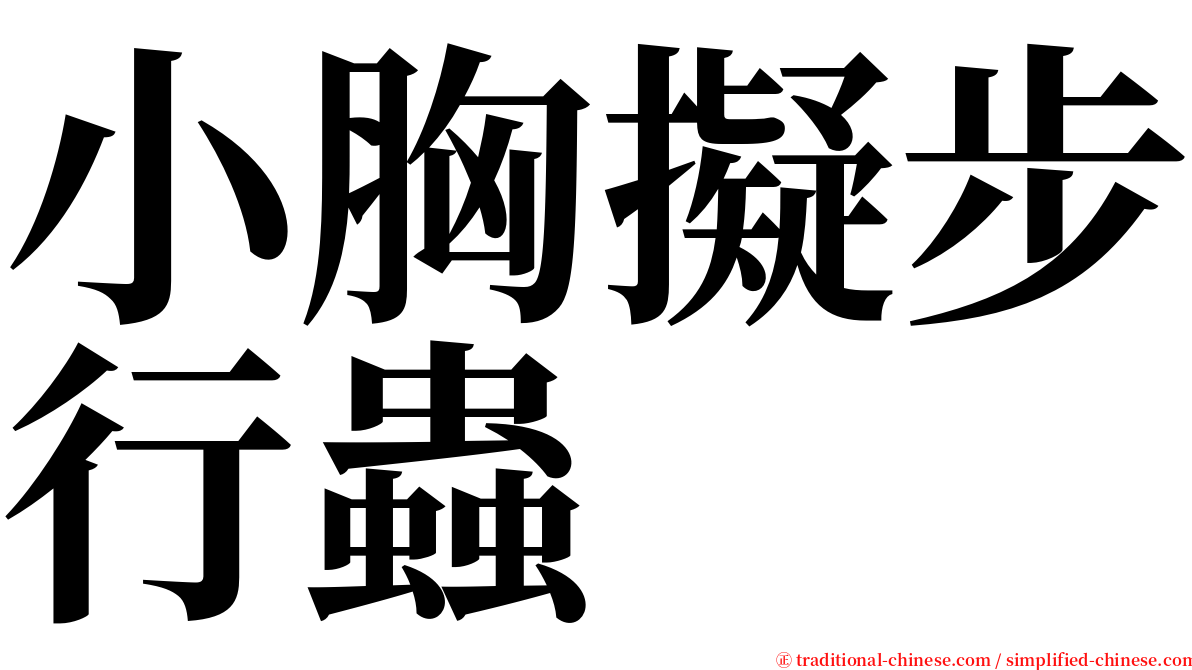 小胸擬步行蟲 serif font
