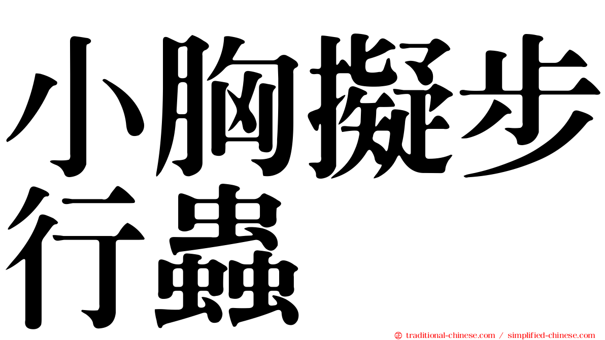 小胸擬步行蟲