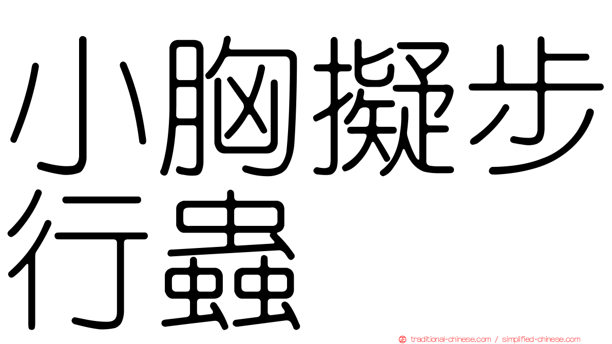 小胸擬步行蟲