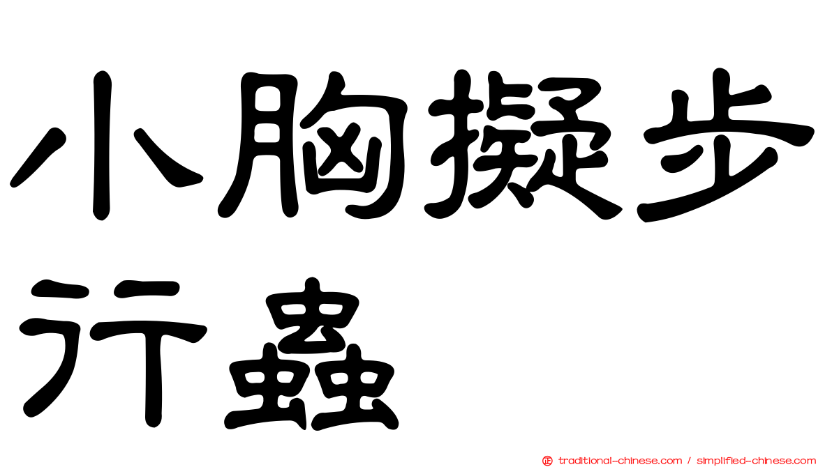 小胸擬步行蟲