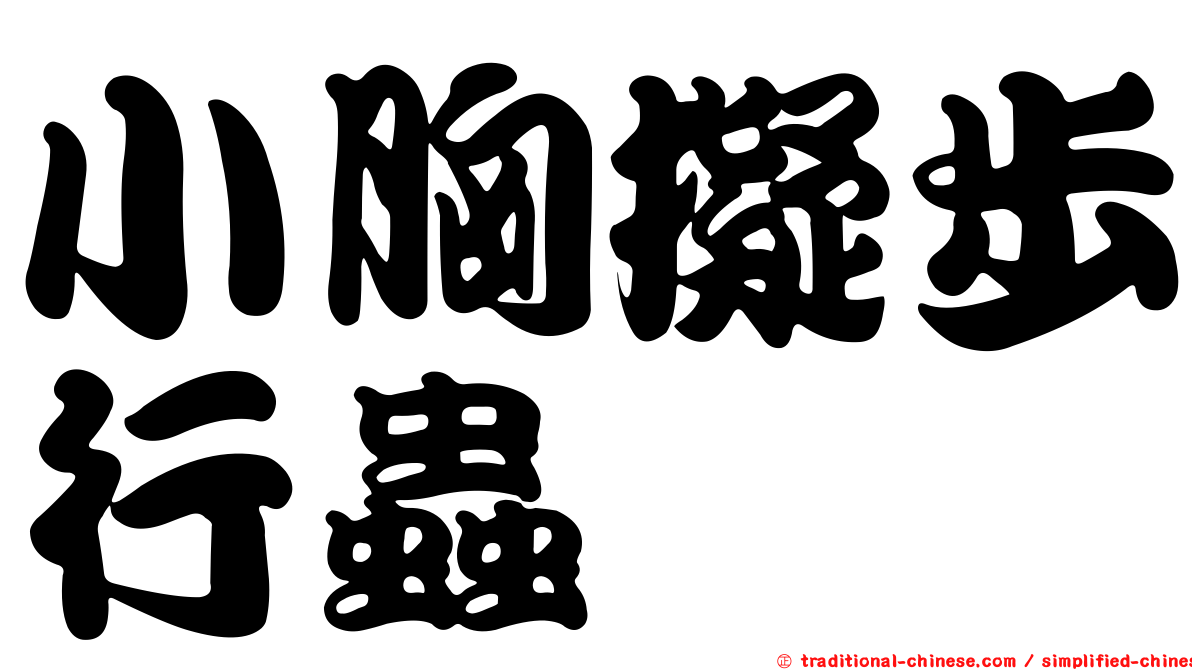 小胸擬步行蟲