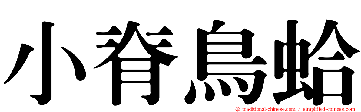 小脊鳥蛤