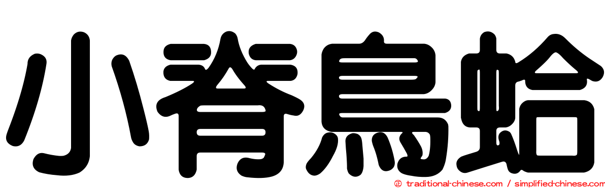 小脊鳥蛤