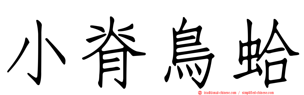 小脊鳥蛤