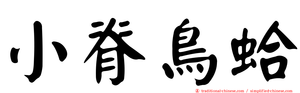 小脊鳥蛤