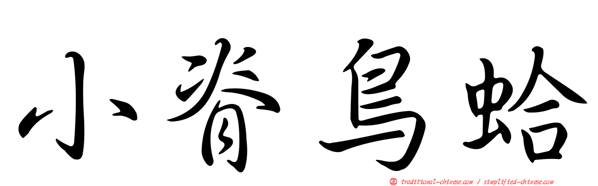 小脊鳥蛤