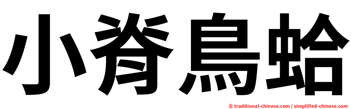 小脊鳥蛤