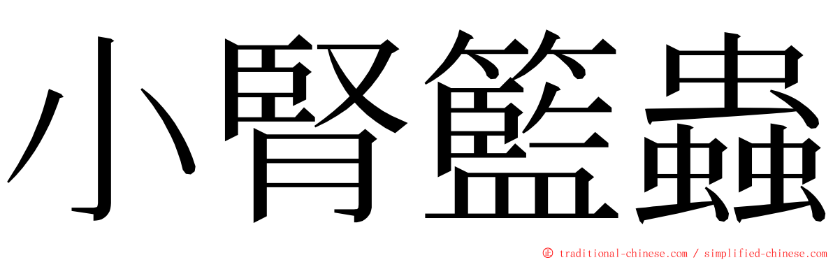小腎籃蟲 ming font