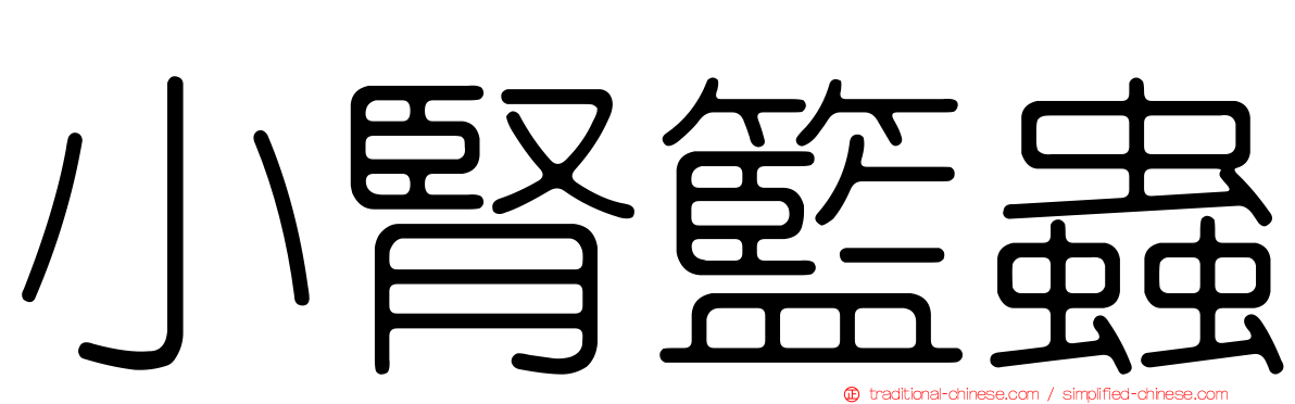 小腎籃蟲