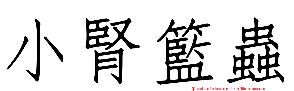 小腎籃蟲