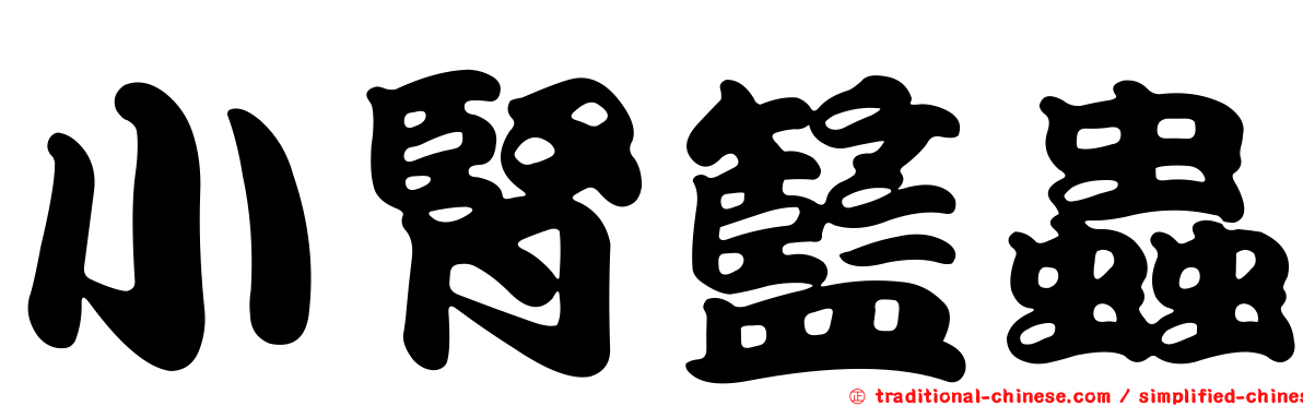 小腎籃蟲