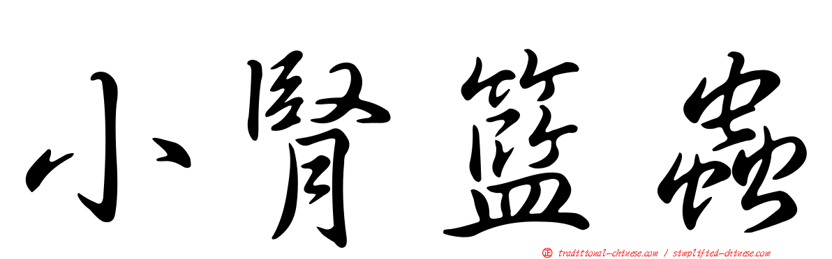 小腎籃蟲