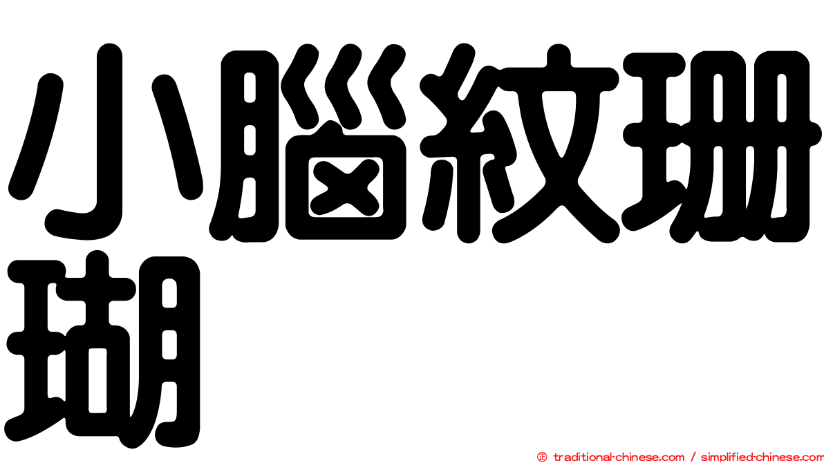 小腦紋珊瑚