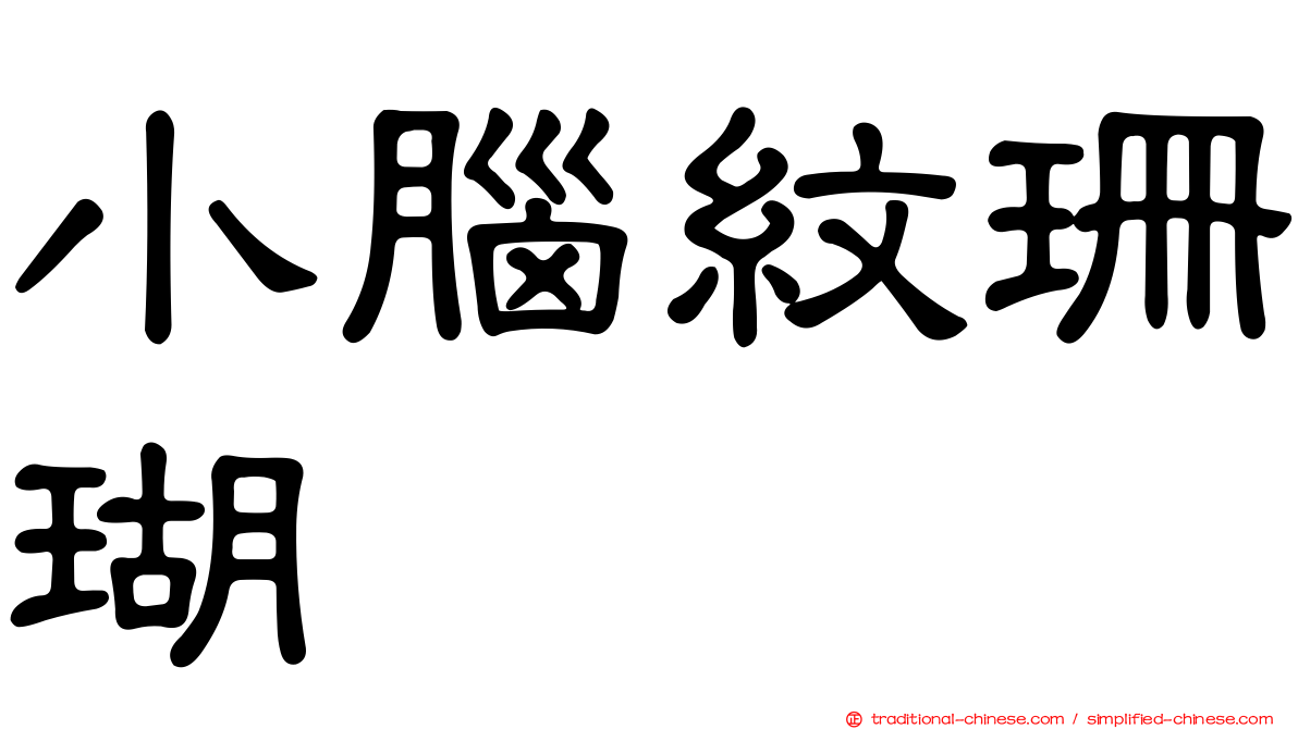小腦紋珊瑚