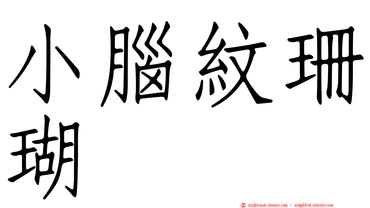小腦紋珊瑚