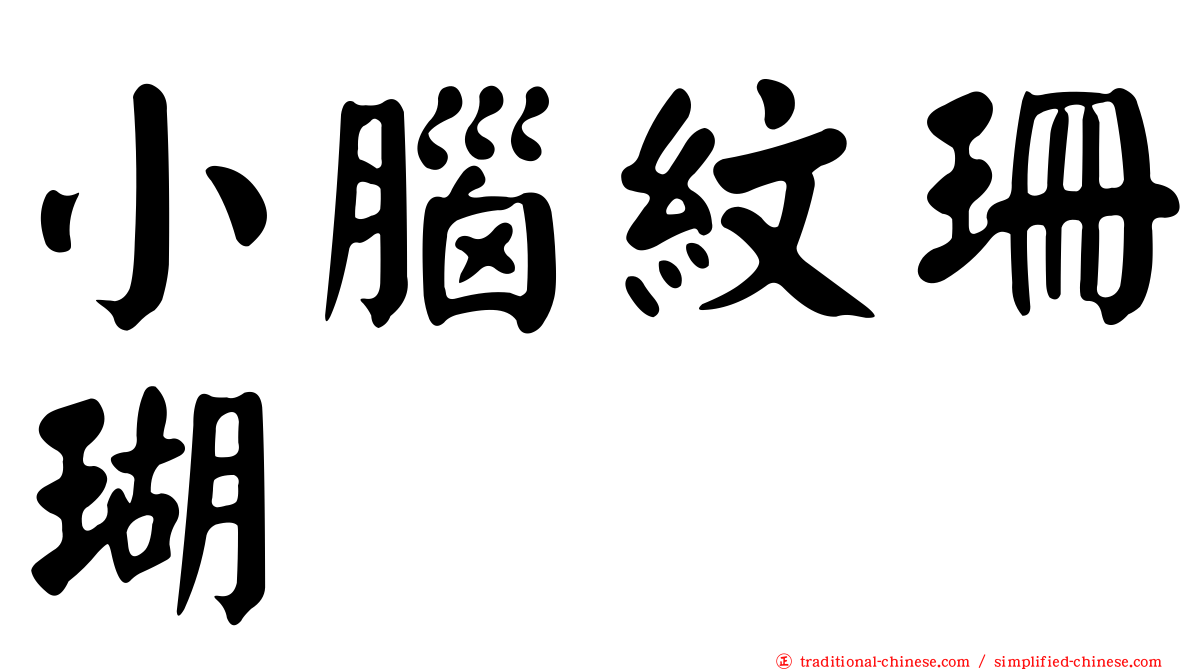 小腦紋珊瑚
