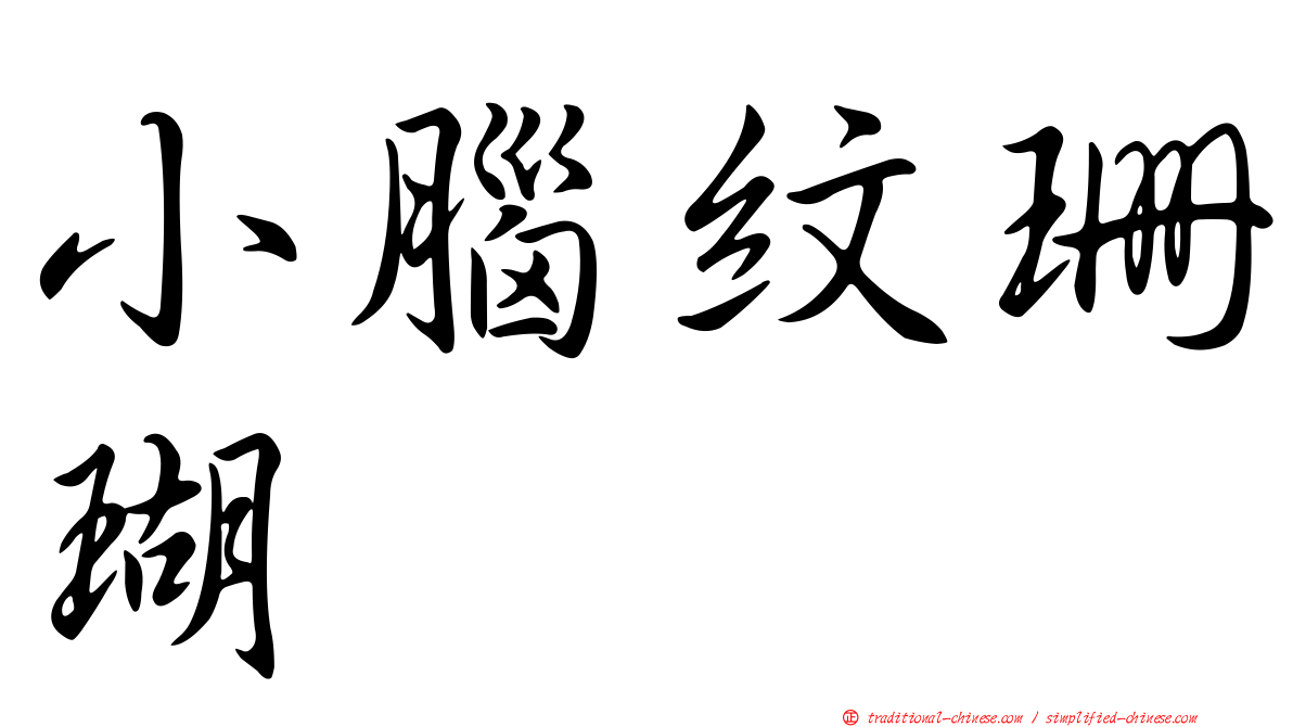 小腦紋珊瑚
