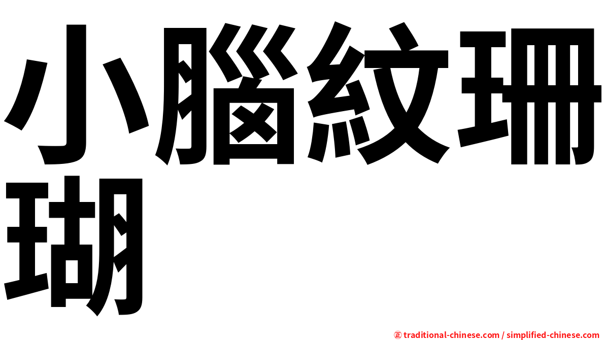小腦紋珊瑚