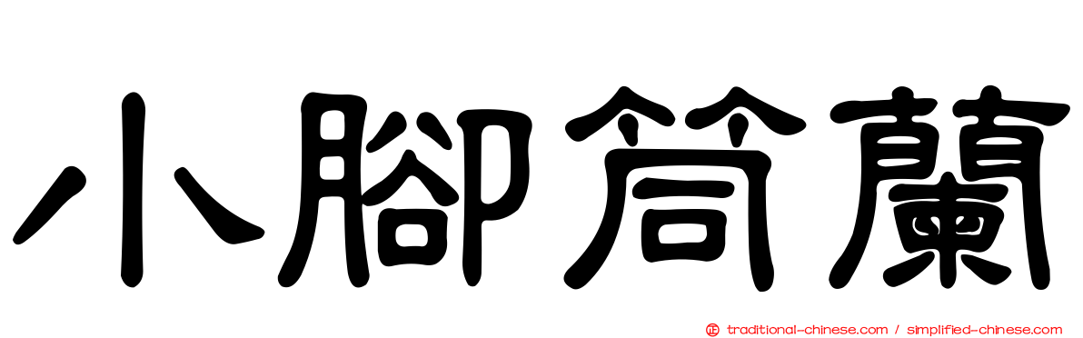 小腳筒蘭