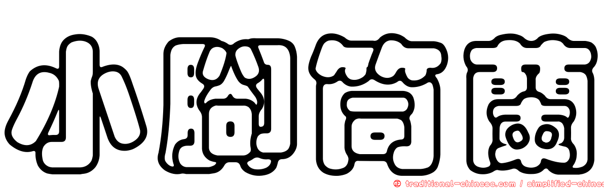 小腳筒蘭