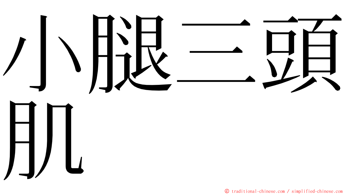小腿三頭肌 ming font