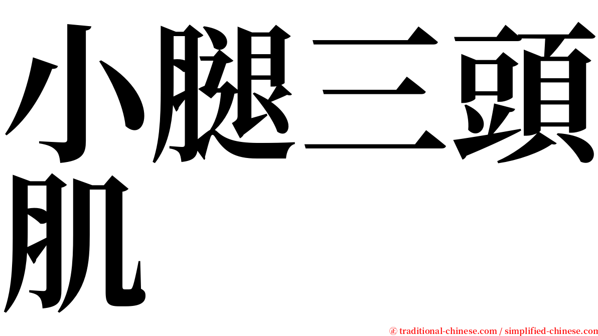 小腿三頭肌 serif font