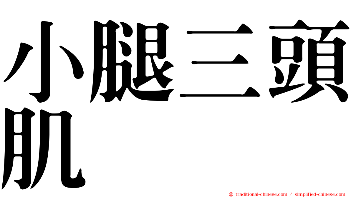 小腿三頭肌