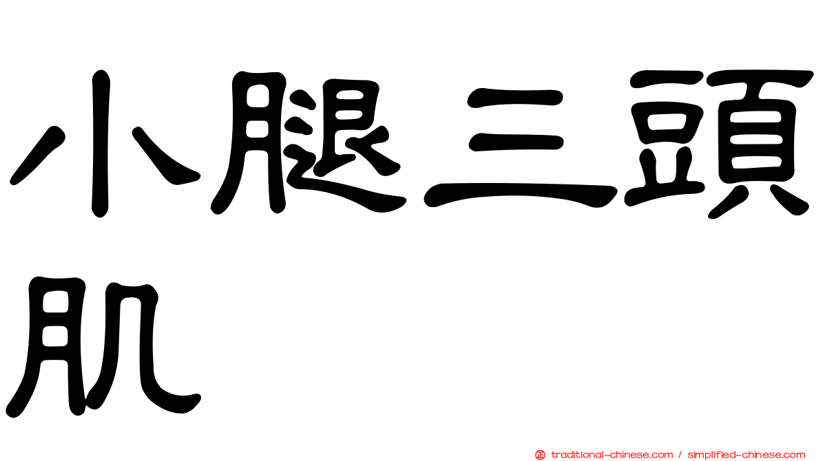 小腿三頭肌