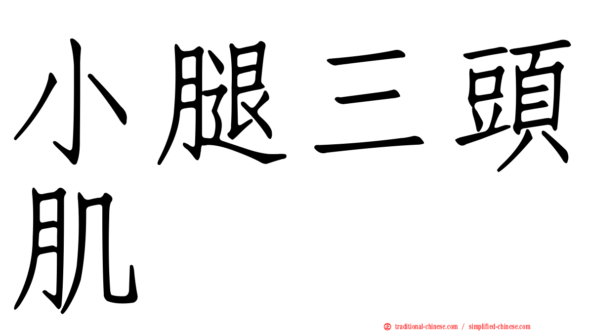 小腿三頭肌