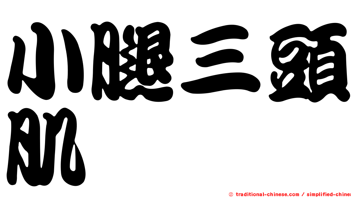 小腿三頭肌