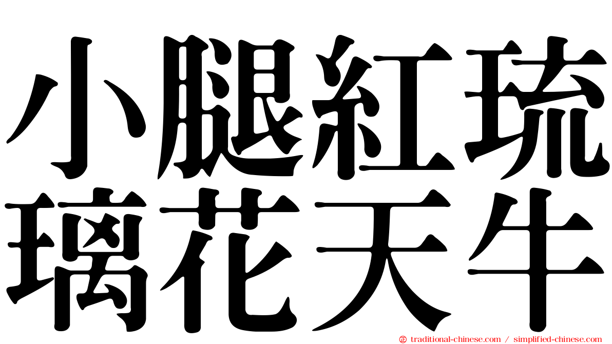 小腿紅琉璃花天牛