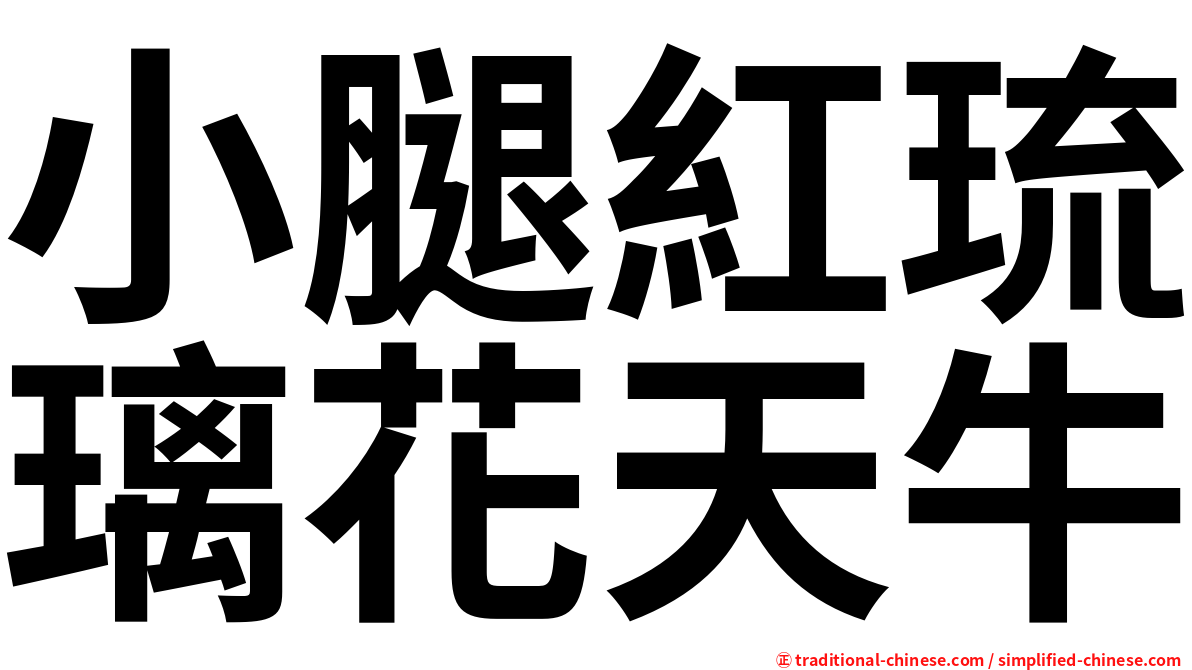 小腿紅琉璃花天牛