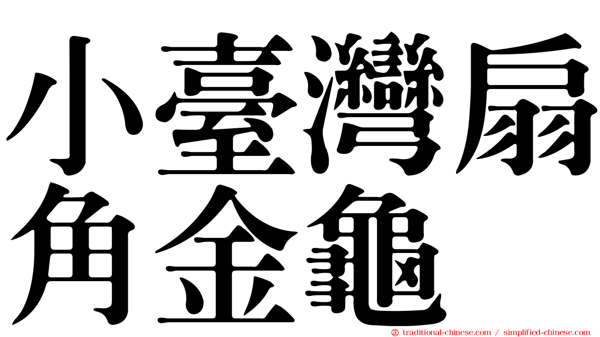 小臺灣扇角金龜
