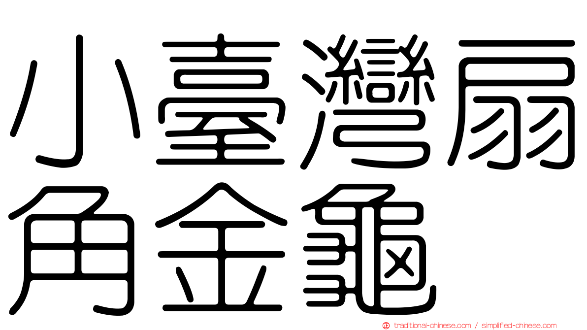 小臺灣扇角金龜