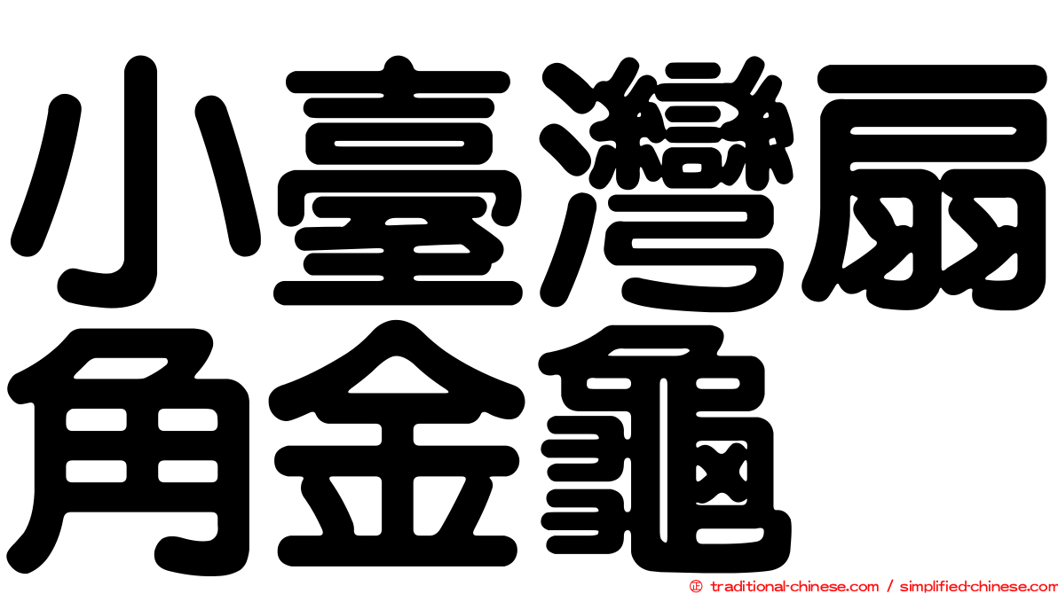 小臺灣扇角金龜