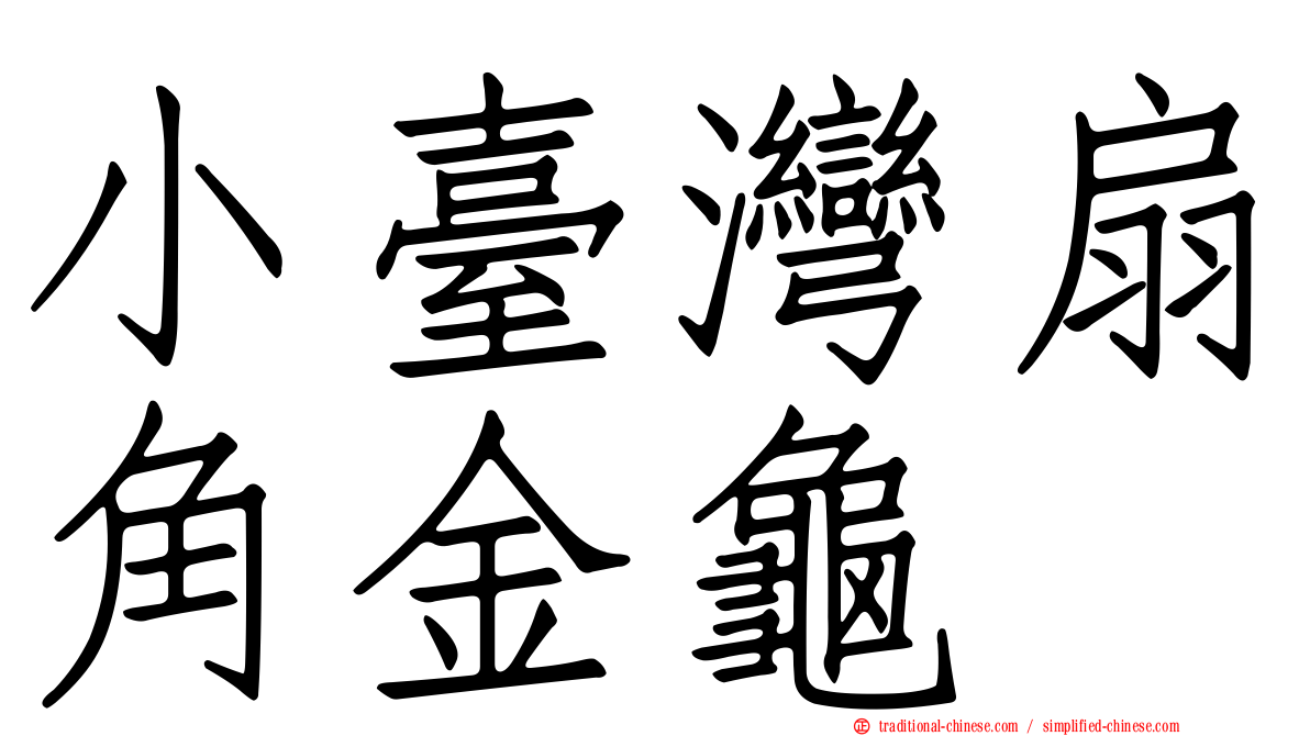 小臺灣扇角金龜